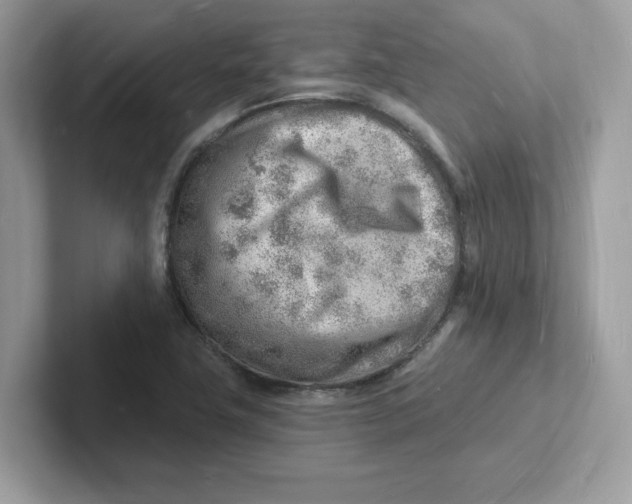 X0000101471411200807281010