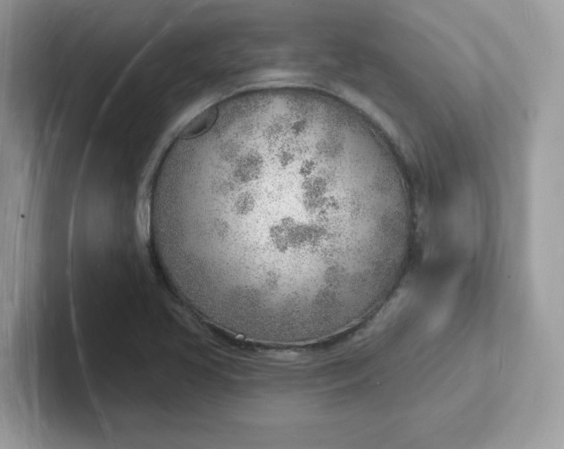 X0000101471413200807281010