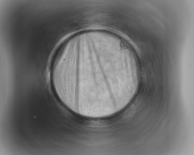 X0000101471416200807281010