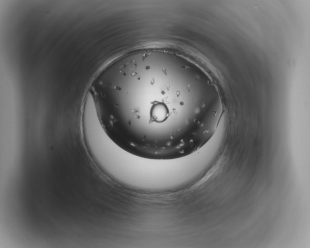 X0000101471417200807281010