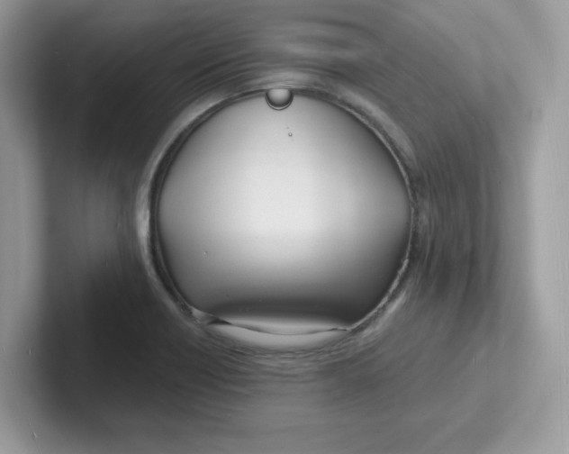 X0000101471418200807281010