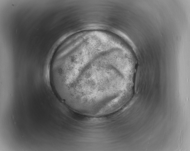 X0000101471419200807281010