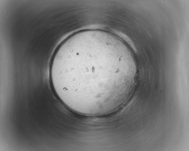 X0000101471420200807281010