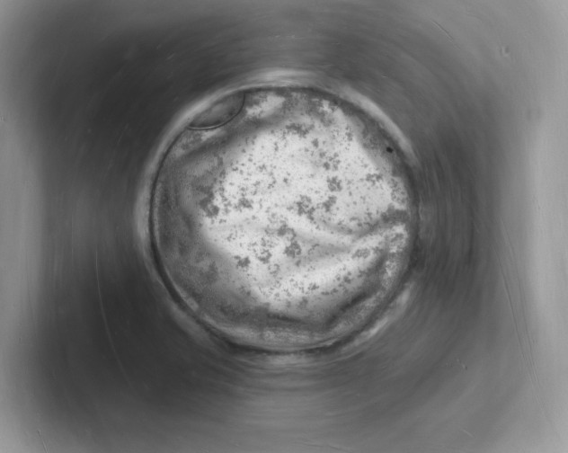 X0000101471421200807281010