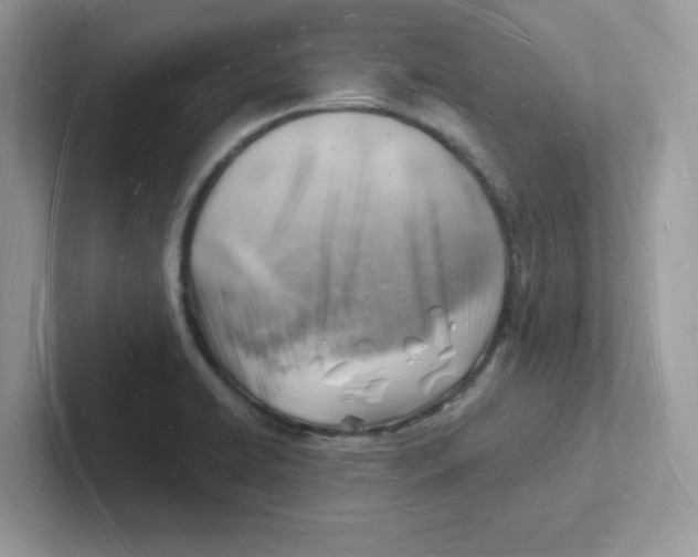 X0000101471422200807281010