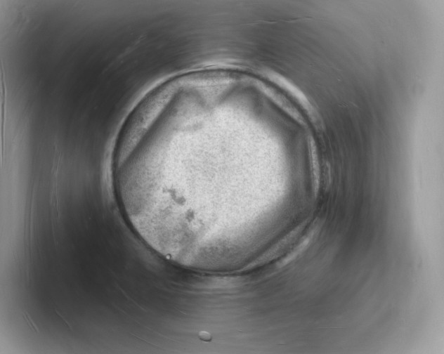 X0000101471423200807281010