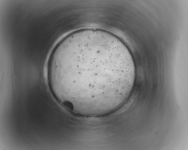 X0000101471424200807281010