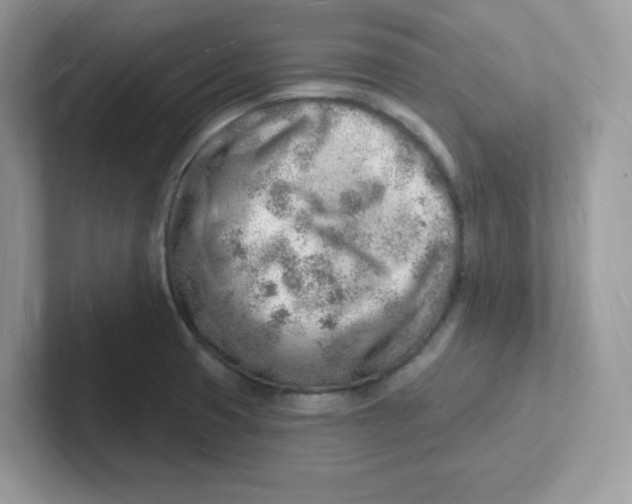 X0000101471425200807281010