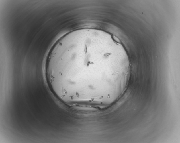 X0000101471426200807281010