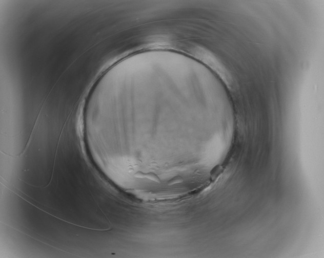 X0000101471428200807281010