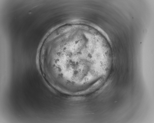 X0000101471429200807281010