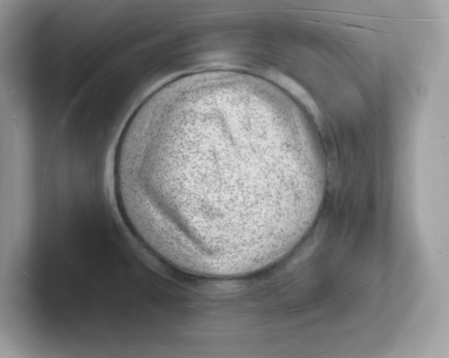 X0000101471431200807281010