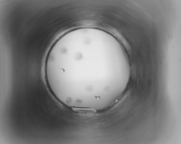 X0000101471432200807281010