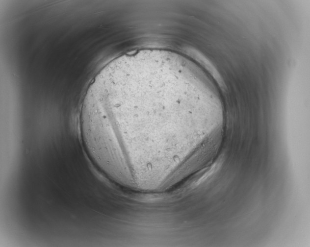 X0000101471433200807281010