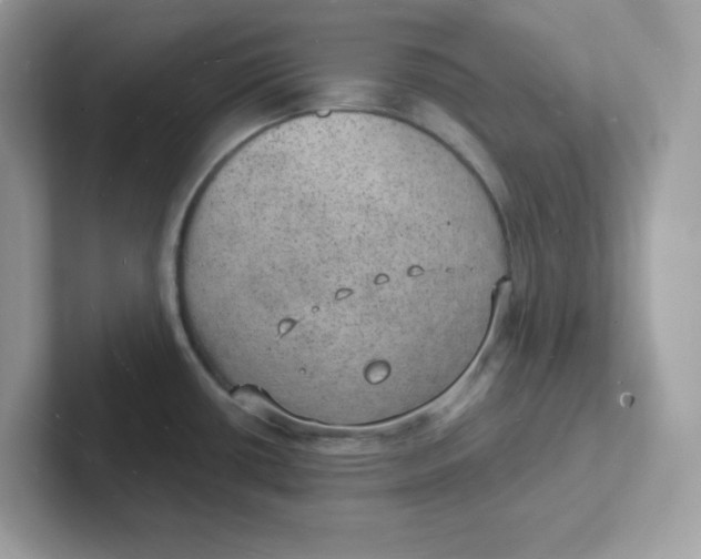 X0000101471434200807281010