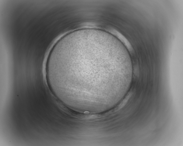 X0000101471435200807281010