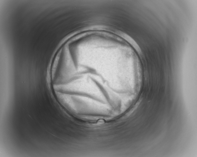 X0000101471436200807281010