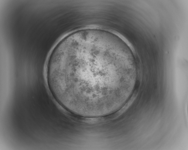 X0000101471438200807281010