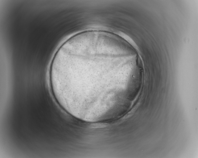 X0000101471440200807281010