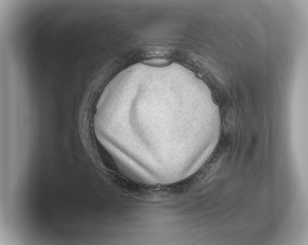 X0000101471441200807281010