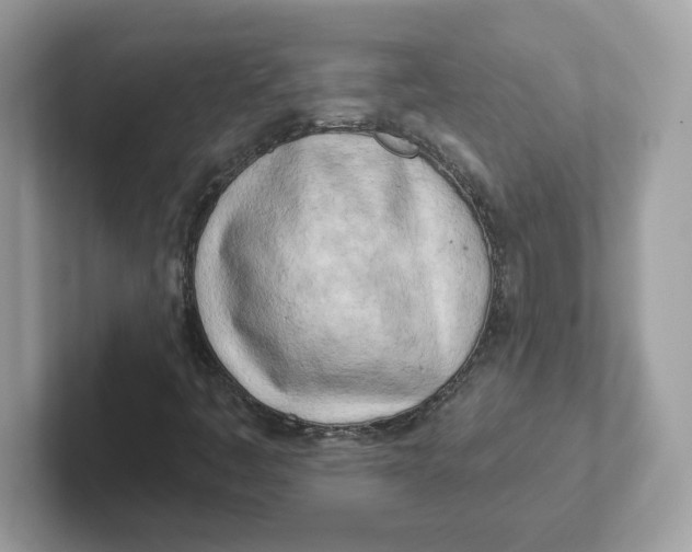 X0000101471445200807281010