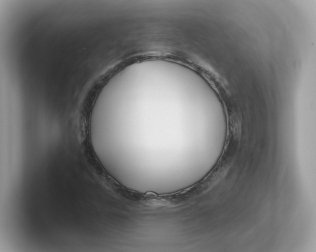 X0000101471448200807281010