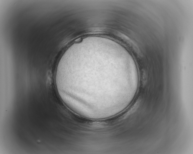 X0000101471449200807281010