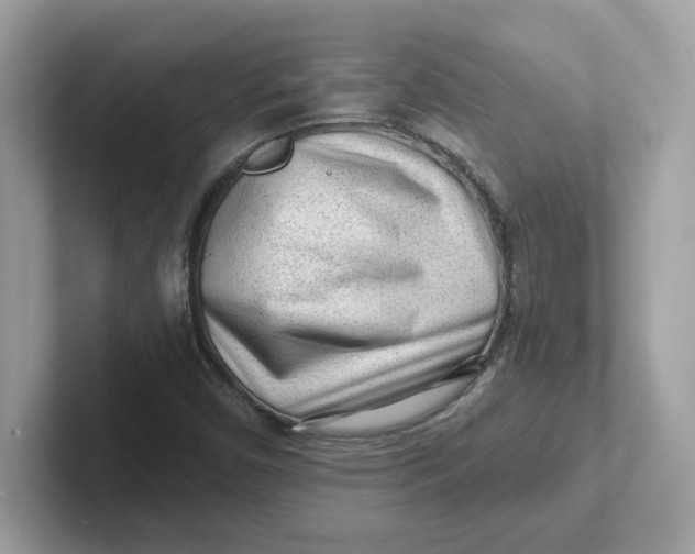 X0000101471450200807281010