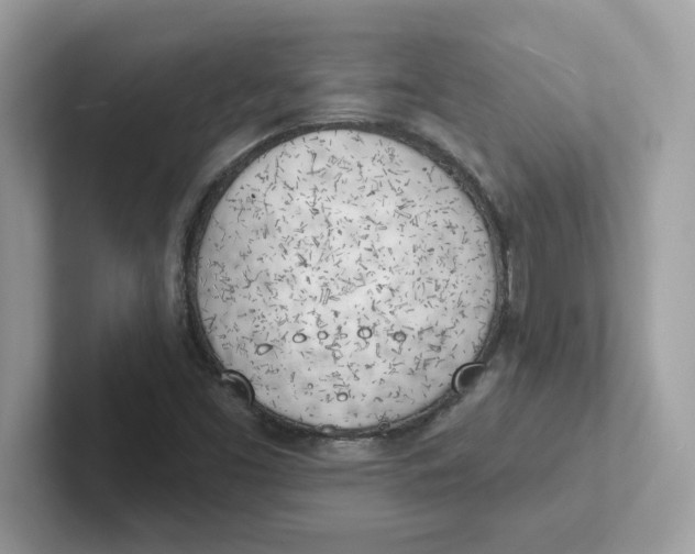 X0000101471453200807281010