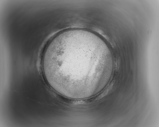 X0000101471454200807281010