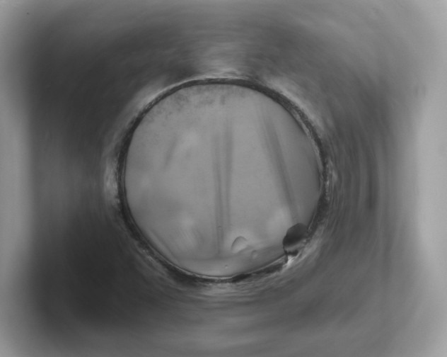 X0000101471455200807281010