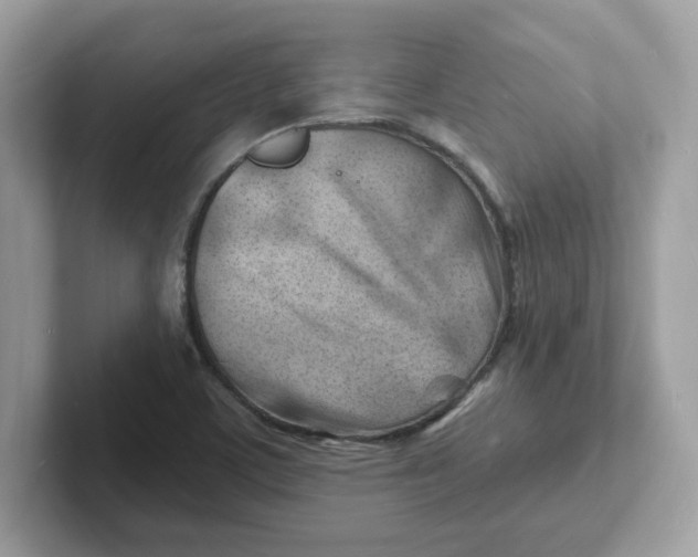 X0000101471459200807281010