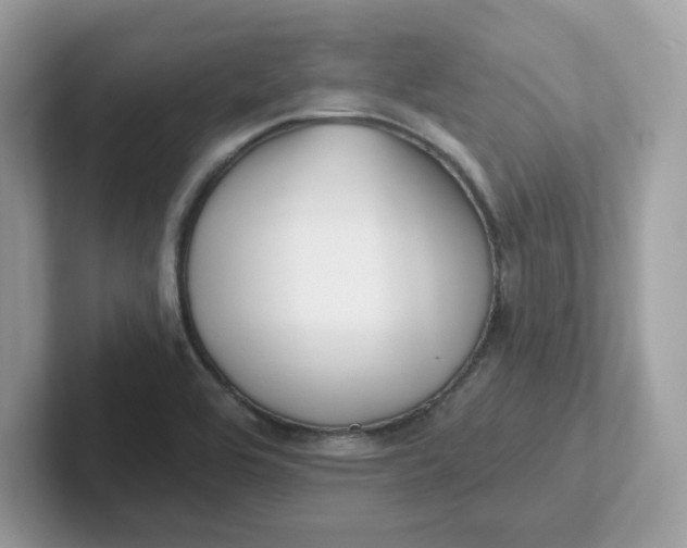 X0000101471464200807281010