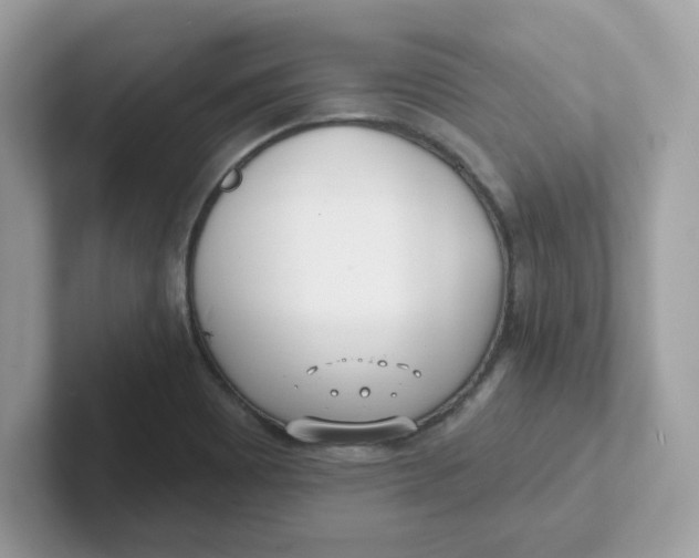 X0000101471465200807281010