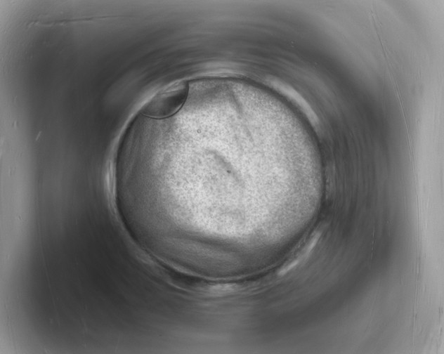 X0000101471467200807281009