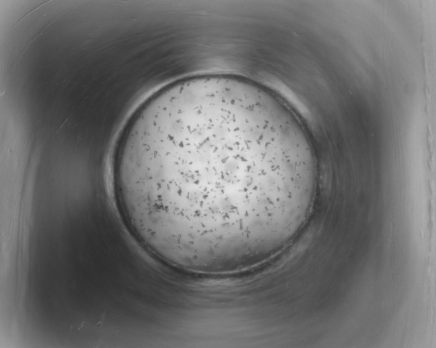 X0000101471468200807281009