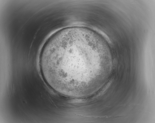 X0000101471470200807281009