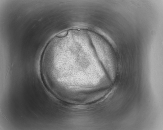 X0000101471471200807281009