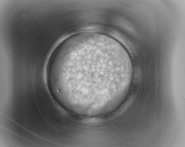 X0000101471474200807281009