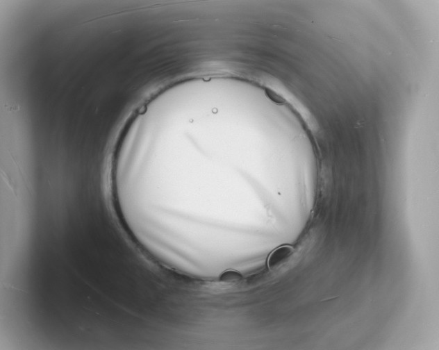 X0000101471477200807281009