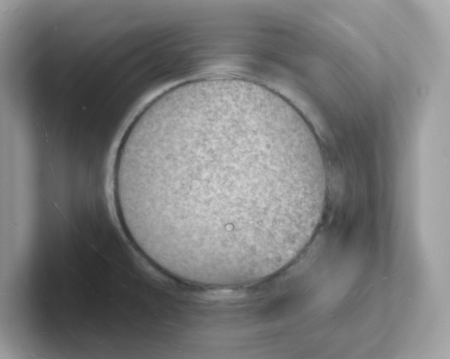 X0000101471478200807281009