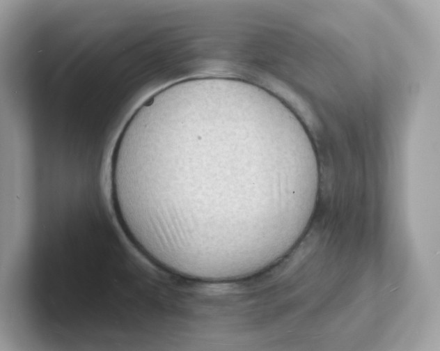 X0000101471479200807281009