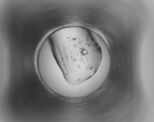 X0000101471480200807281009