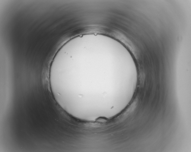 X0000101471481200807281009