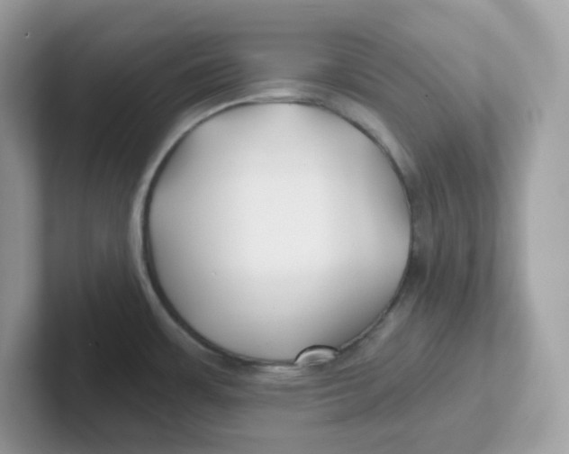 X0000101471483200807281009