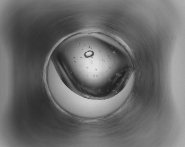 X0000101471484200807281009