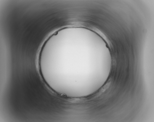 X0000101471485200807281009