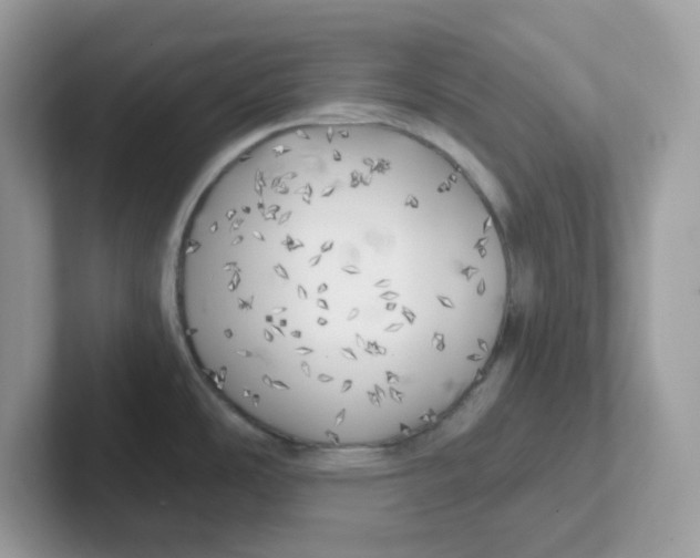 X0000101471486200807281009