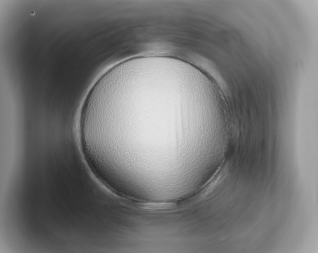 X0000101471487200807281009