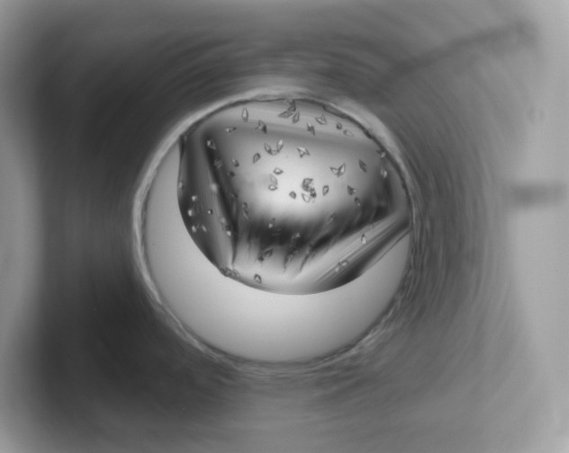 X0000101471488200807281009